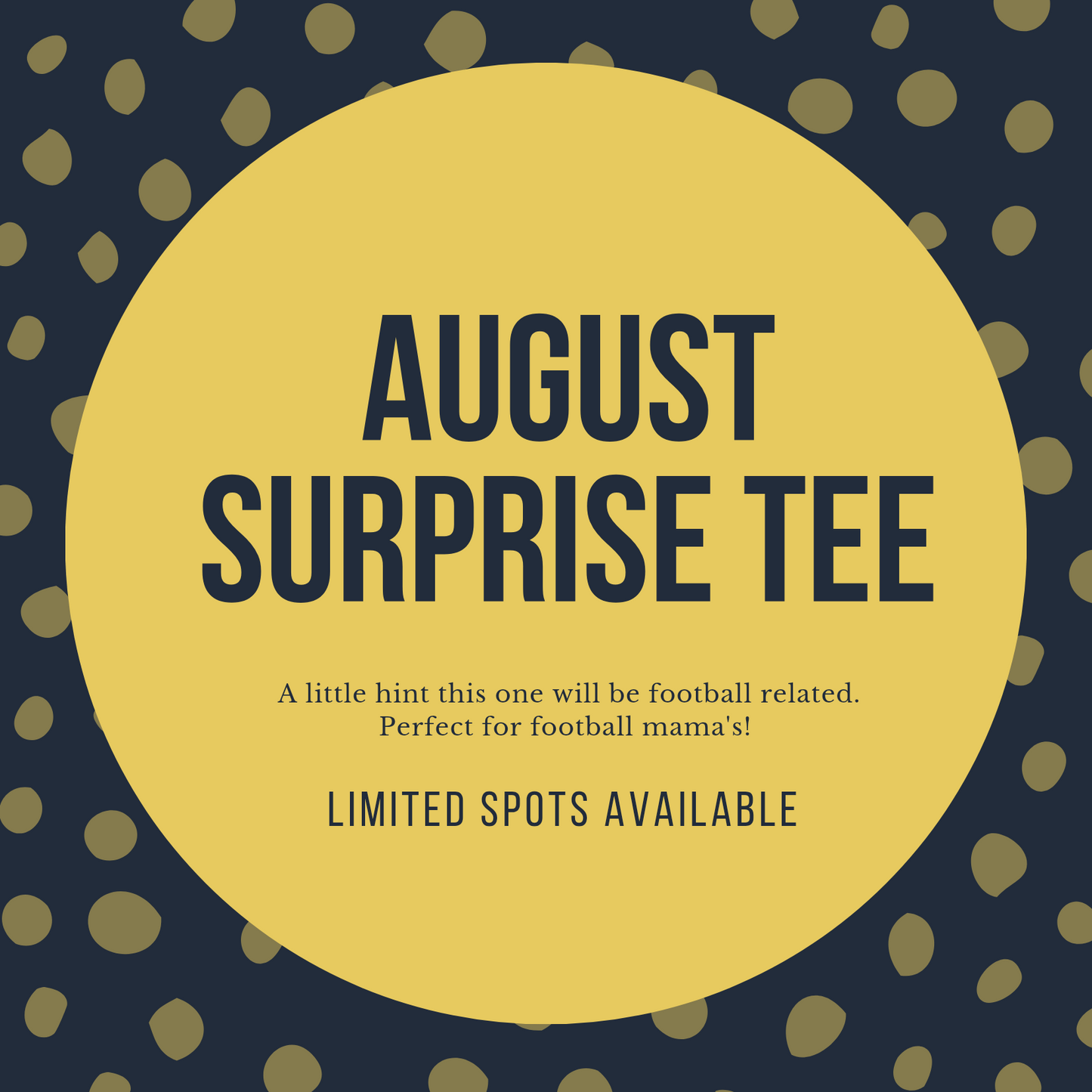 Monthly Surprise Shirt